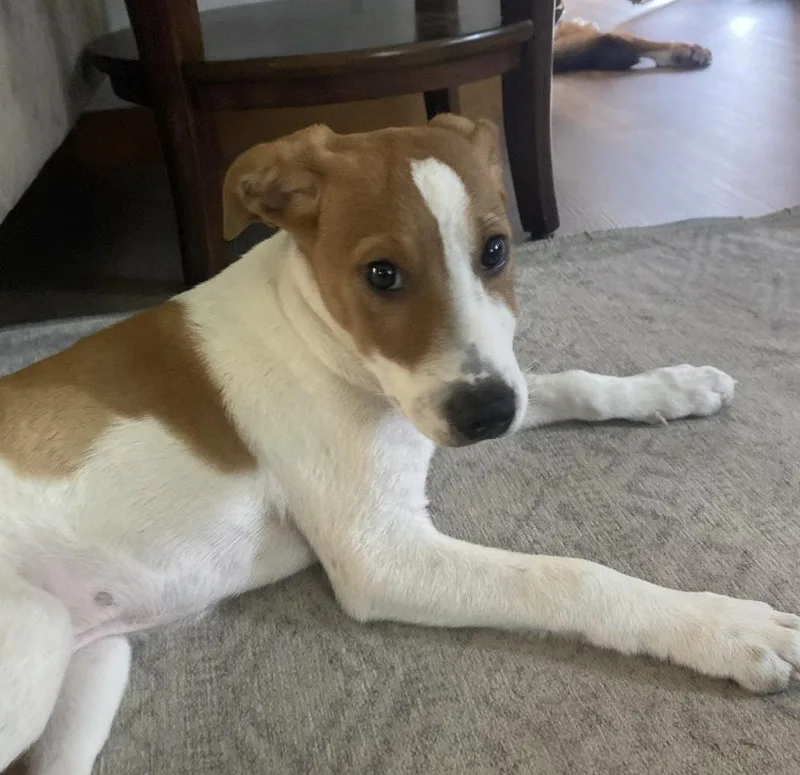 Max
