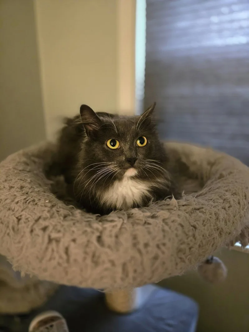 Helena Lee thumbnail 3