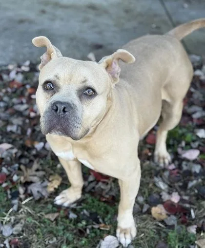 Nala Donna thumbnail 2