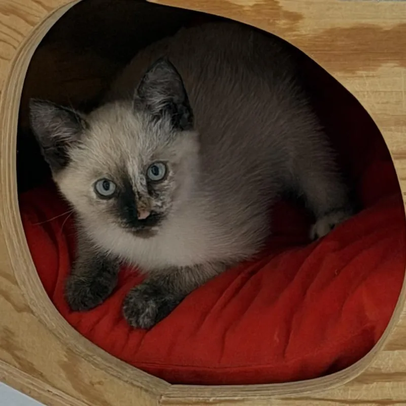 Winnie