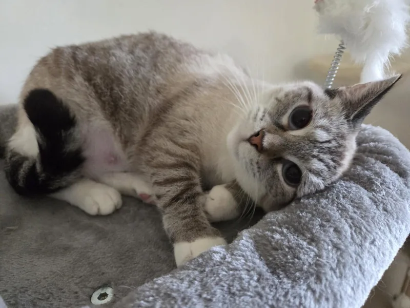 Katie thumbnail 3