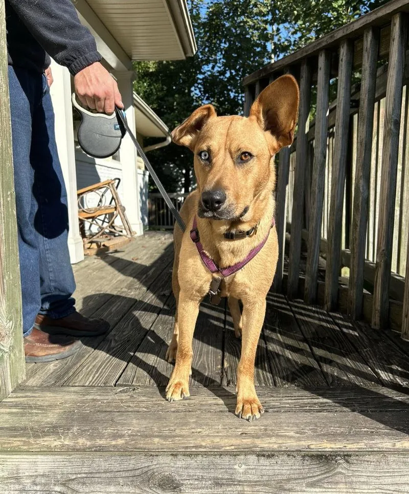 Piper Lizman thumbnail 2