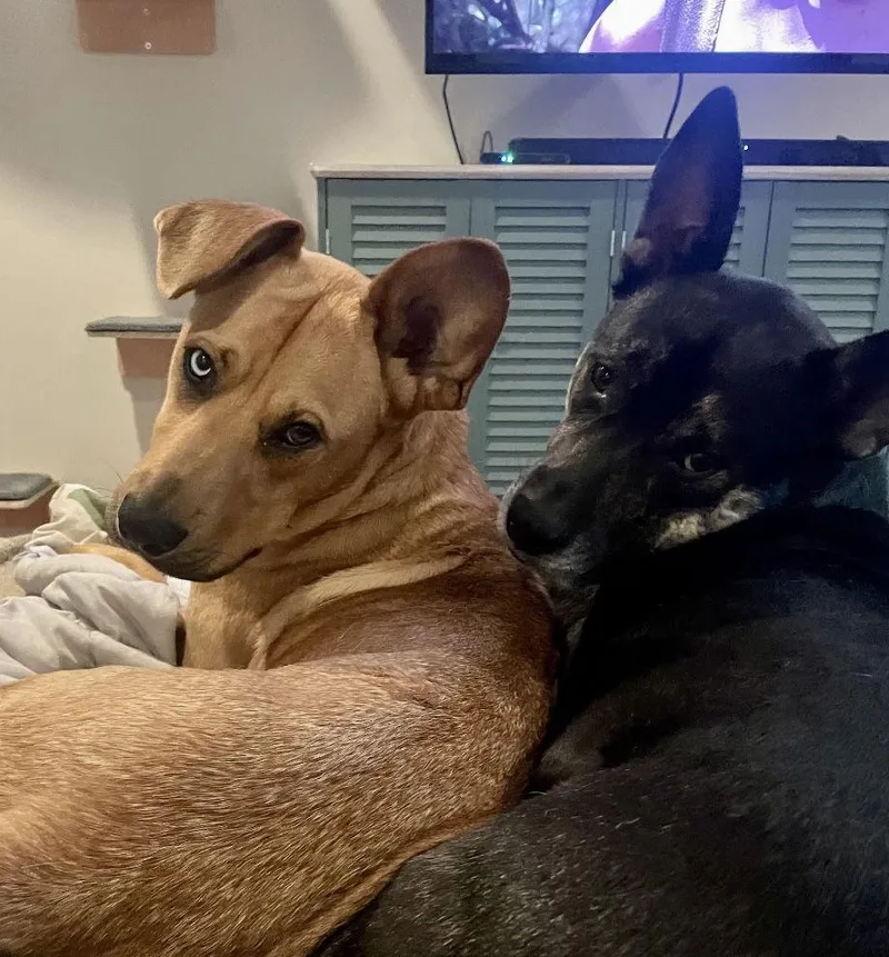 Piper Lizman thumbnail 3