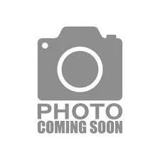 An adult medium-sized female Pit Bull Terrier dog named Milwaukee for adoption in Holly Springs, NC