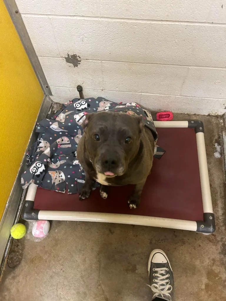 Nalasponsored thumbnail 3