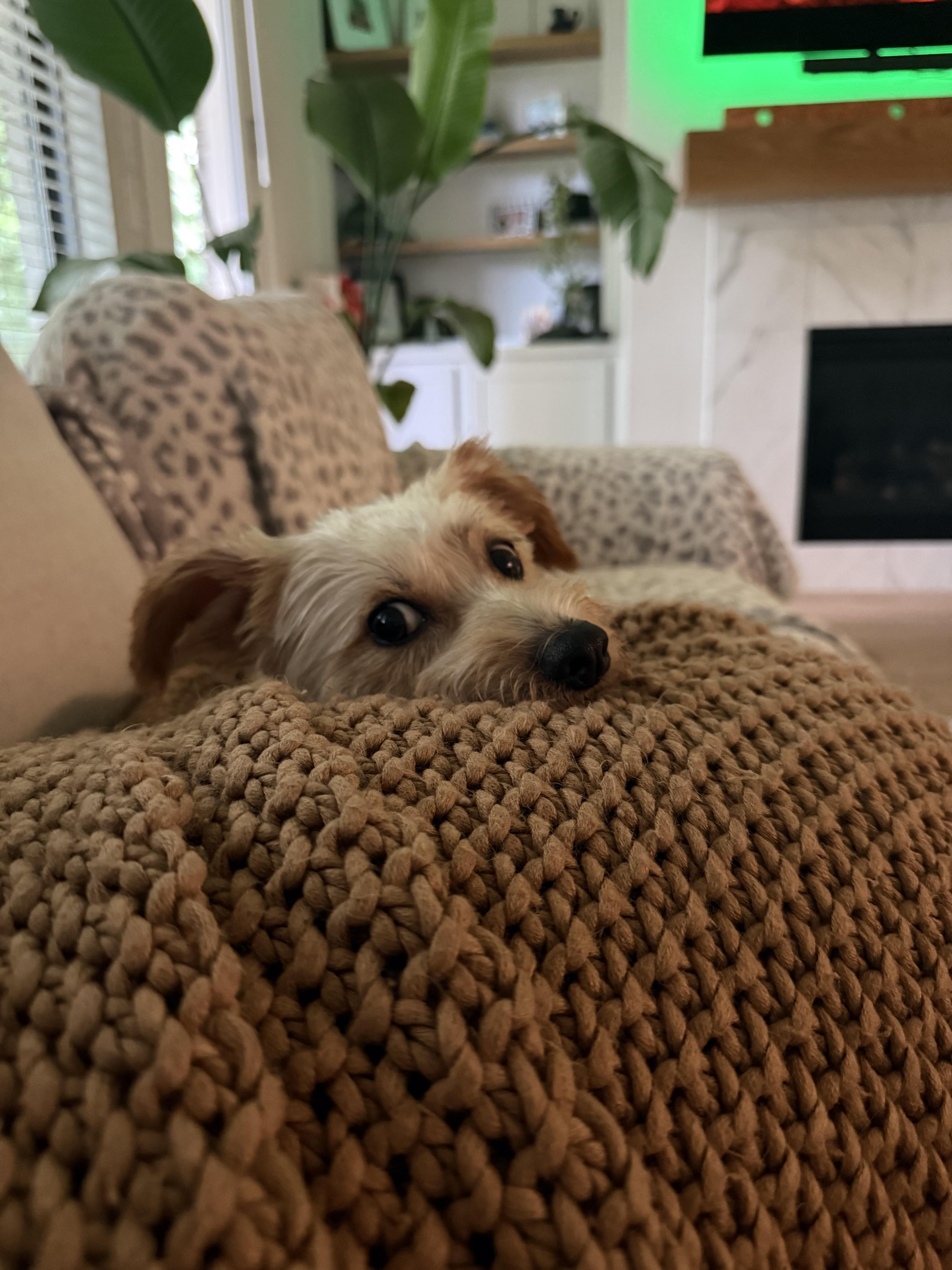 Crouton