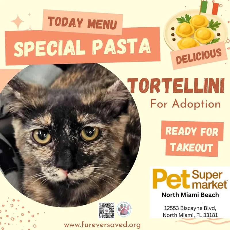 Tortellini thumbnail 3