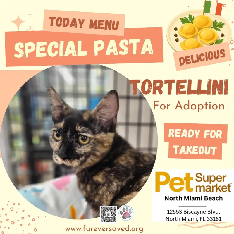 Tortellini thumbnail 4