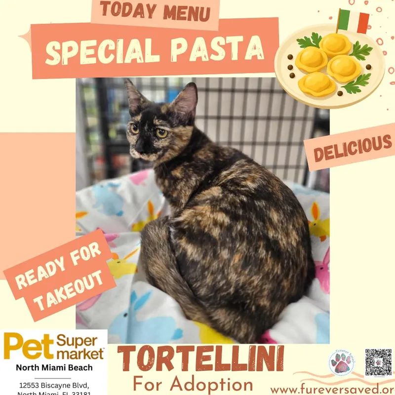 Tortellini thumbnail 5