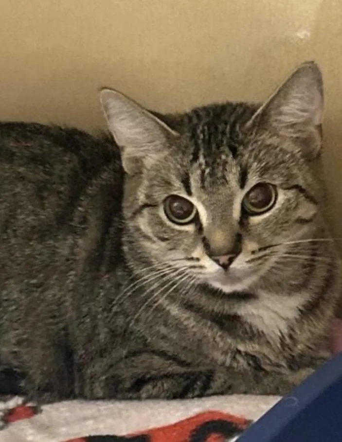 Loud Mouth thumbnail 3