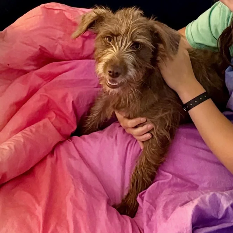 Coco thumbnail 2