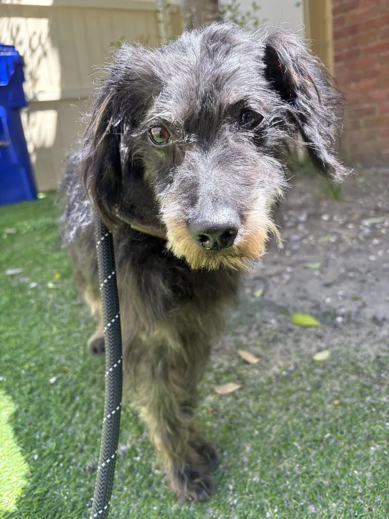 Bentley thumbnail 3