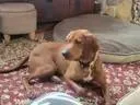 Winnie & Koleman thumbnail 3