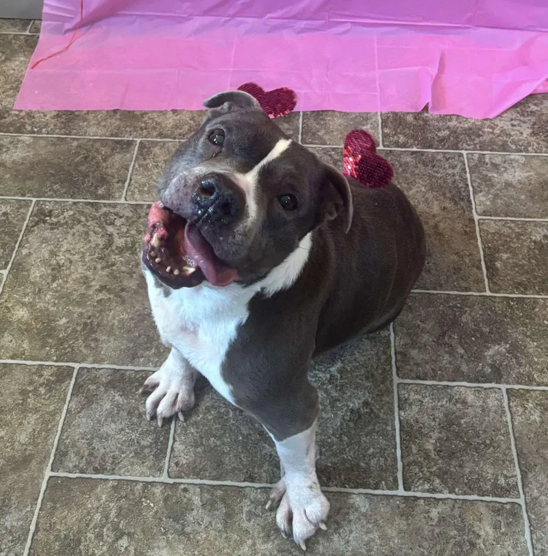 Pooh Bear thumbnail 3