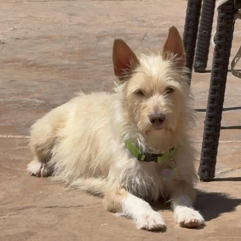 Mama Rosario thumbnail 2