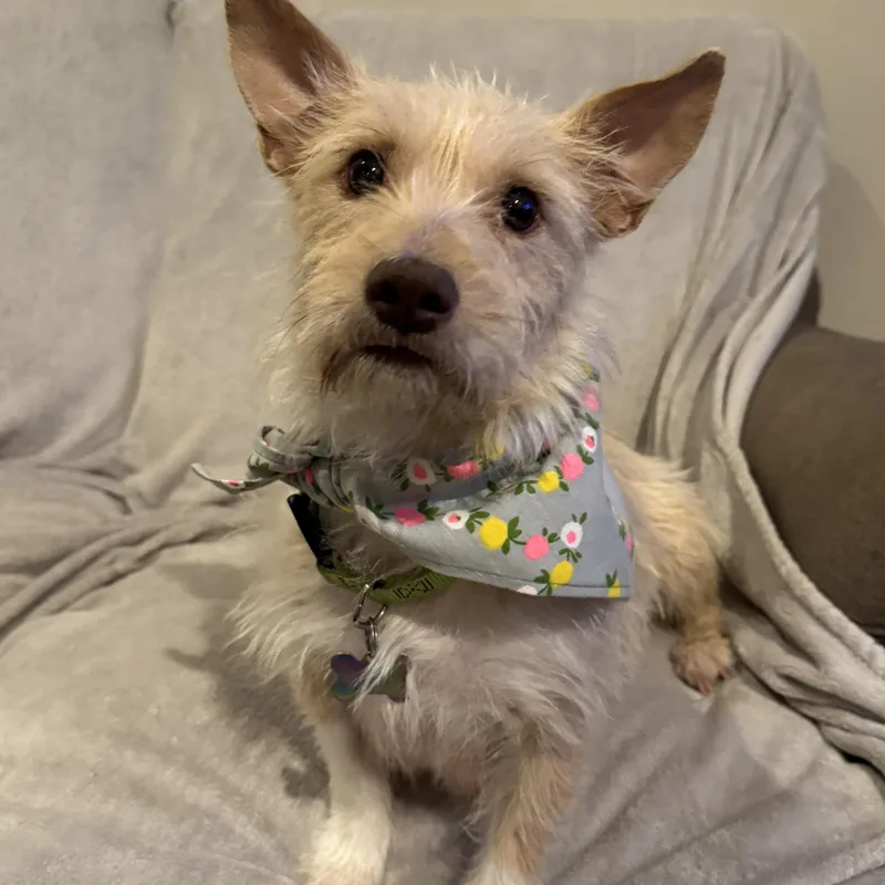 Mama Rosario thumbnail 3