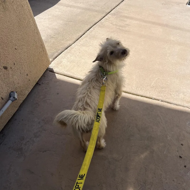 Mama Rosario thumbnail 4