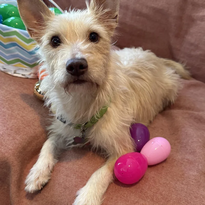 Mama Rosario thumbnail 5