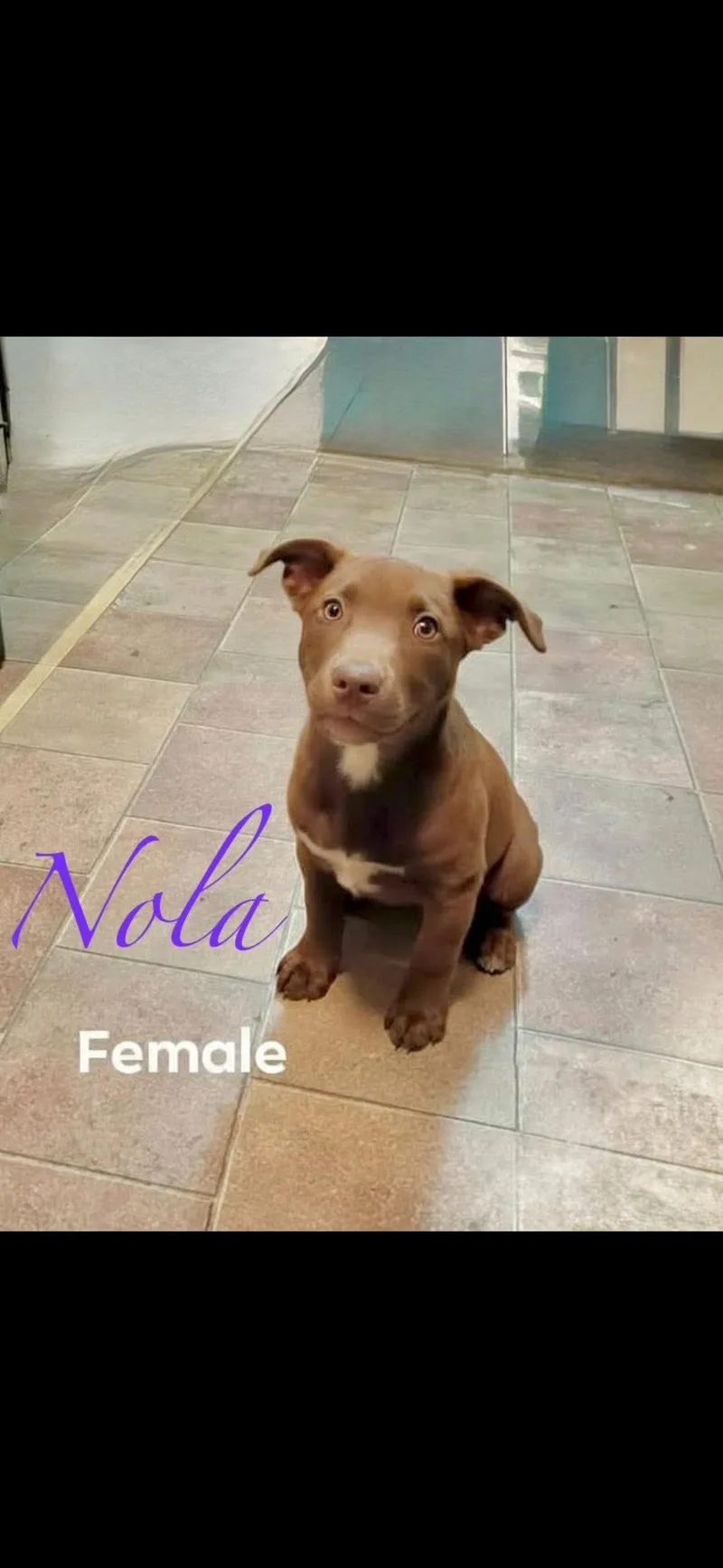 Nola And Natti thumbnail 2