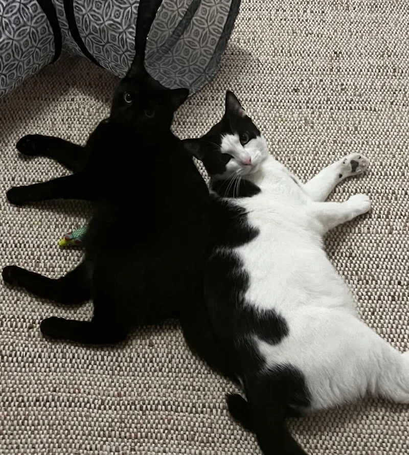 Jax & Venus thumbnail 2