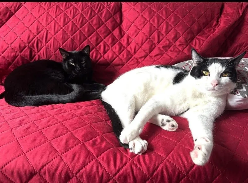 Jax & Venus thumbnail 3