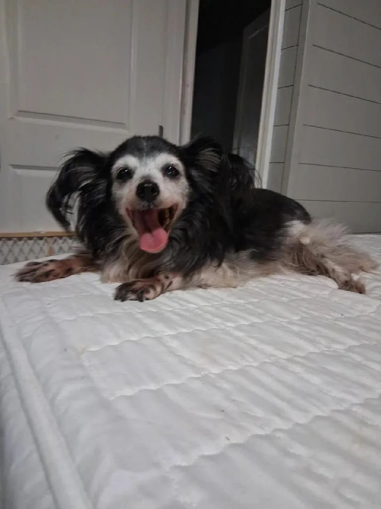 Minnie thumbnail 2