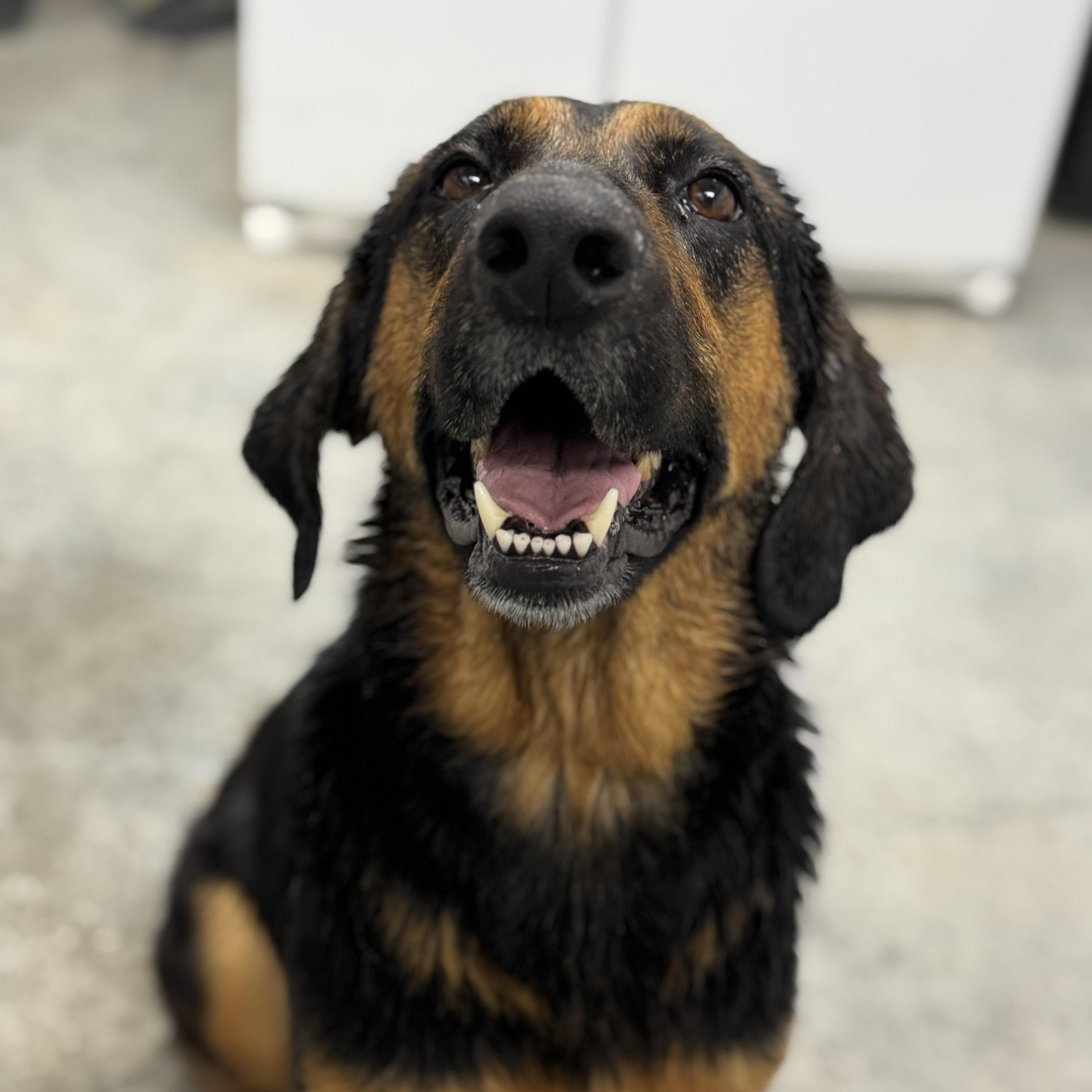 Ol' Girl thumbnail 2