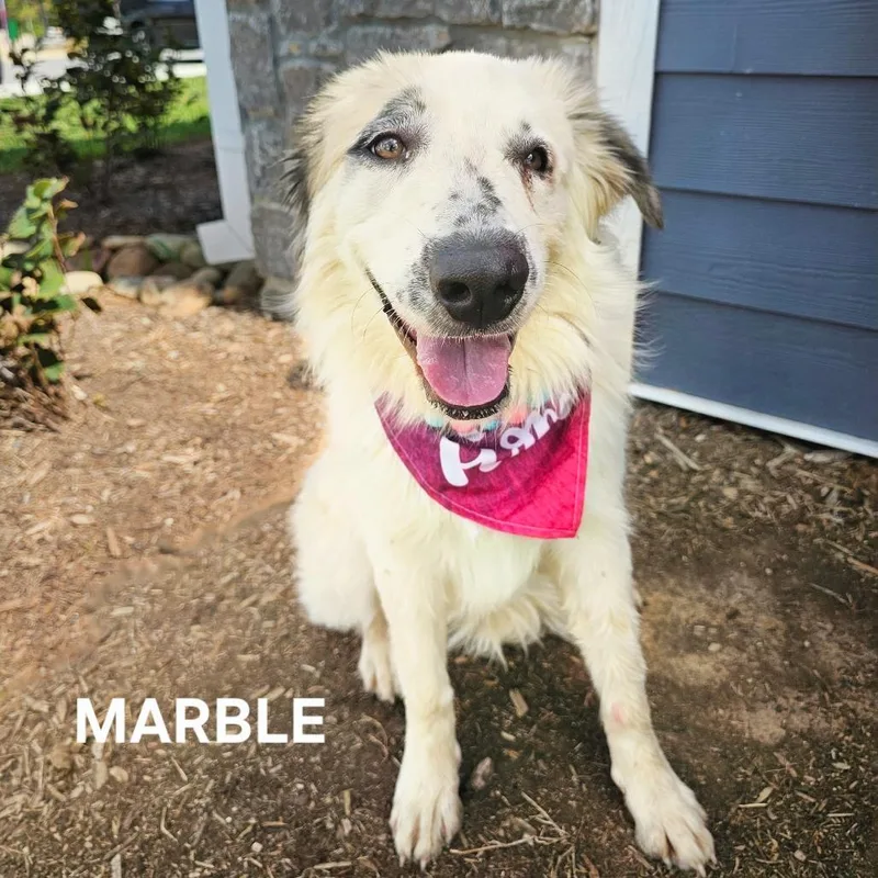 Marble thumbnail 2