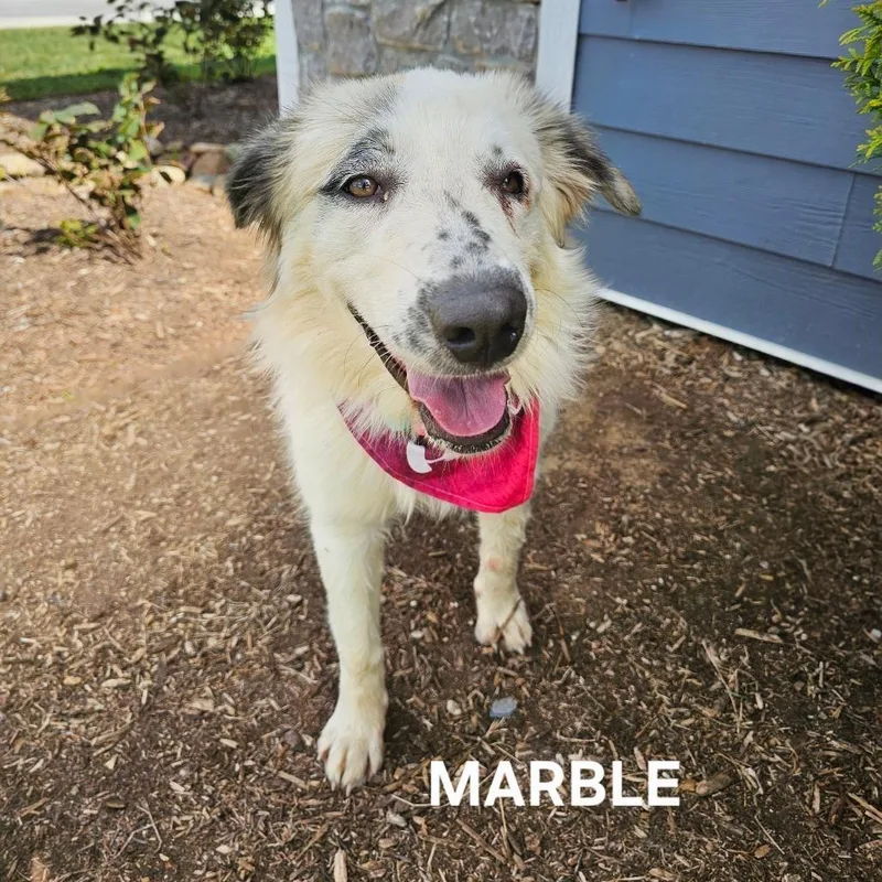 Marble thumbnail 3