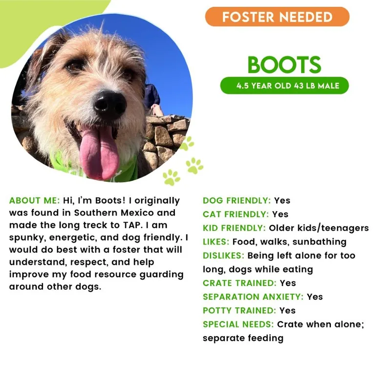 Boots thumbnail 5