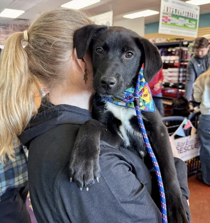 Inky And Siblings thumbnail 2