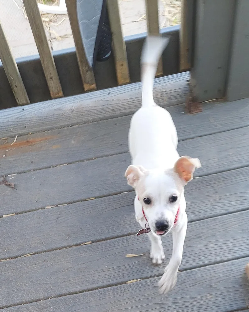 Baylee