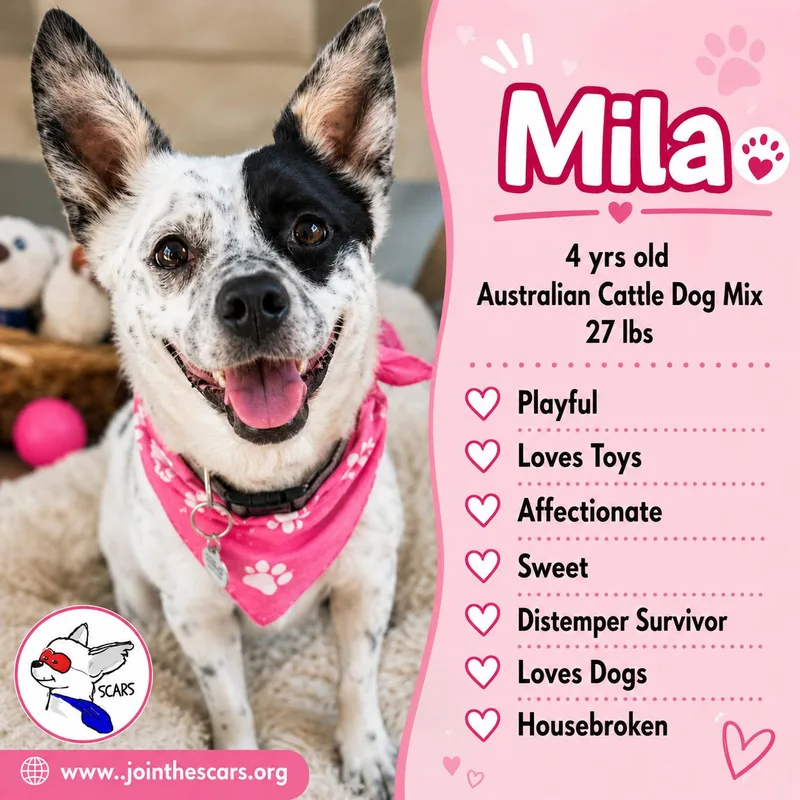 Mila thumbnail 5