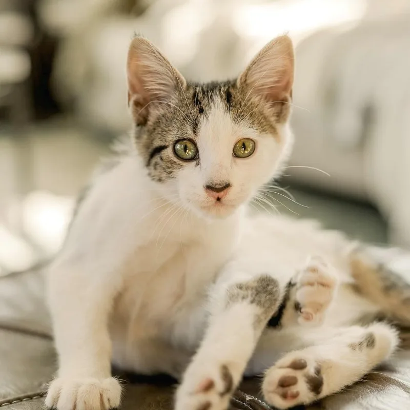 Maisy thumbnail 5