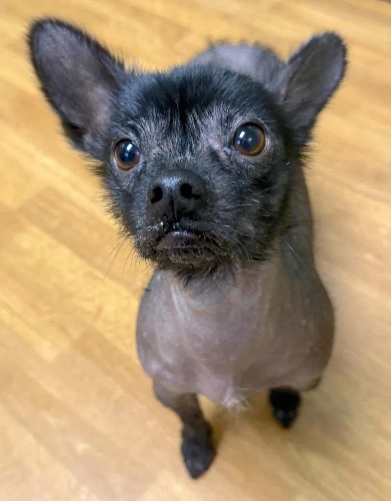 Luna