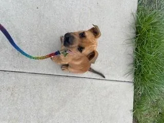 Lola thumbnail 3