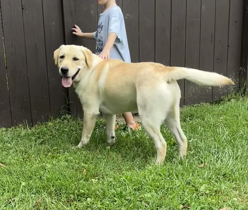 Milo