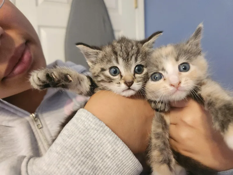 Sugar Baby thumbnail 2