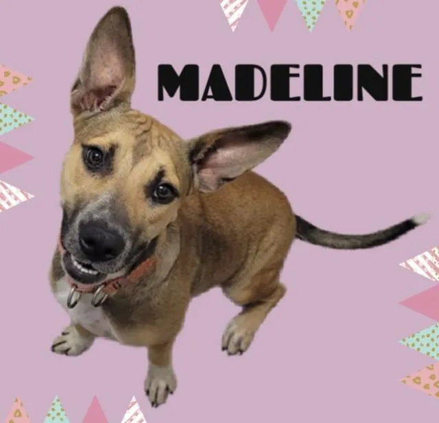 Madeline
