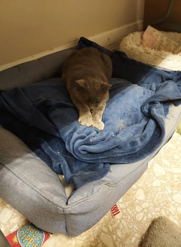 Big Papi thumbnail 3