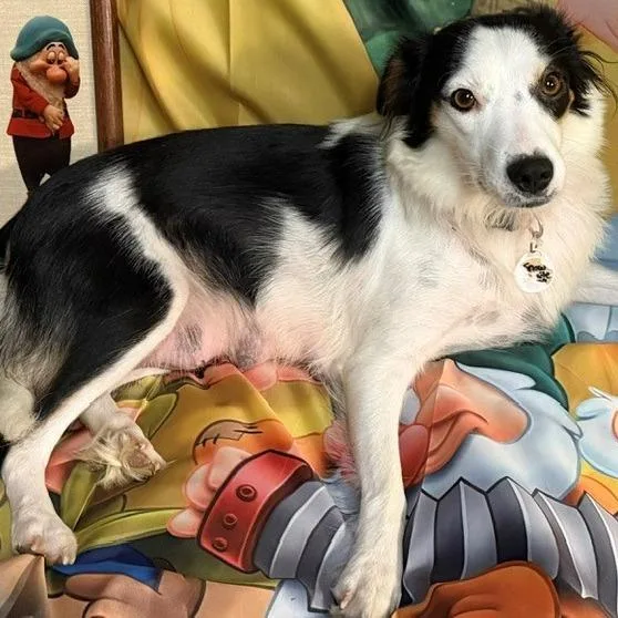 Snow White