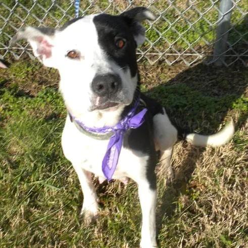 Momma Rupaw thumbnail 2