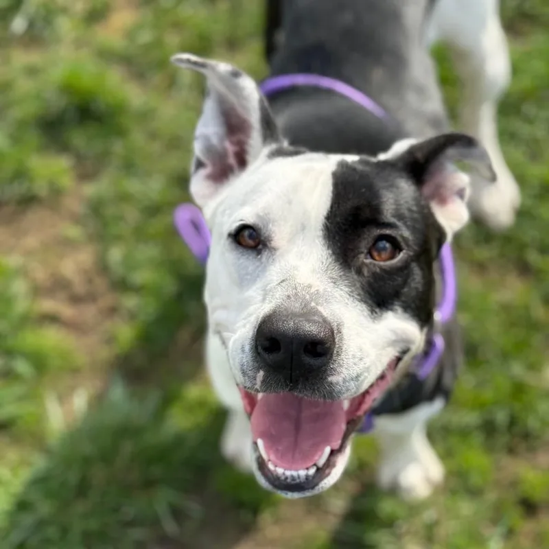 Momma Rupaw thumbnail 3