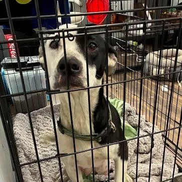 Momma Rupaw thumbnail 4