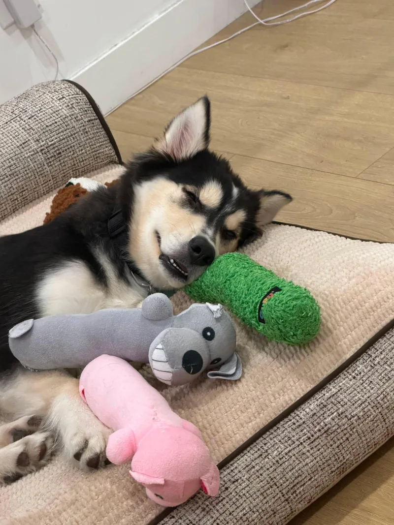 Mochi thumbnail 4