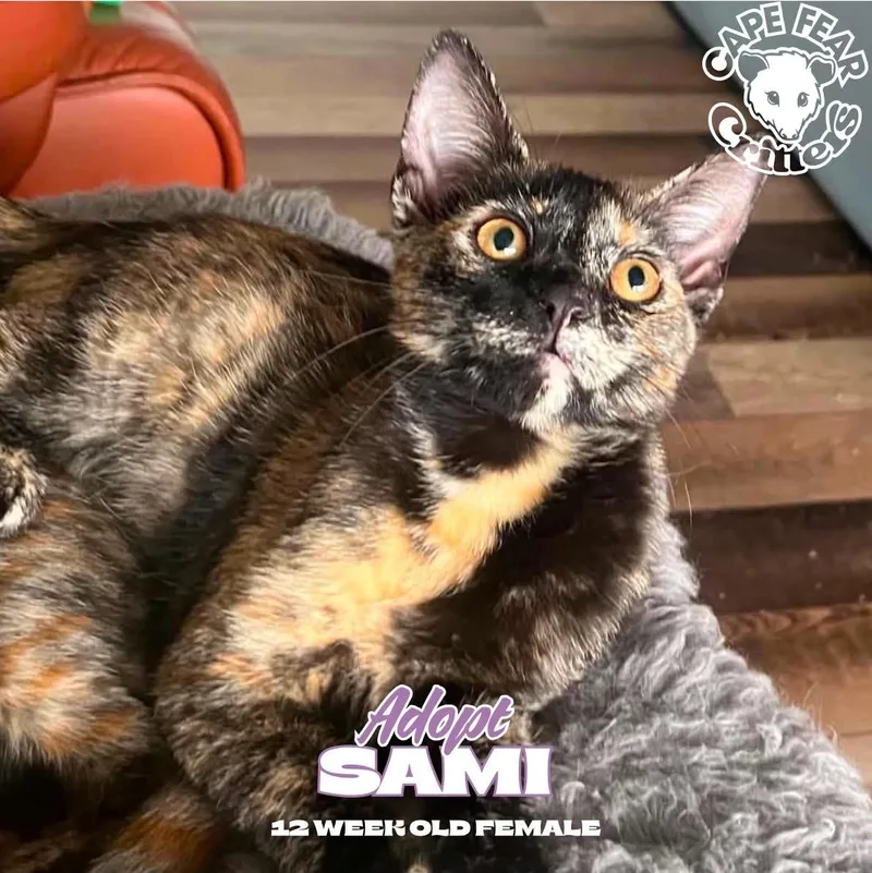 Sami