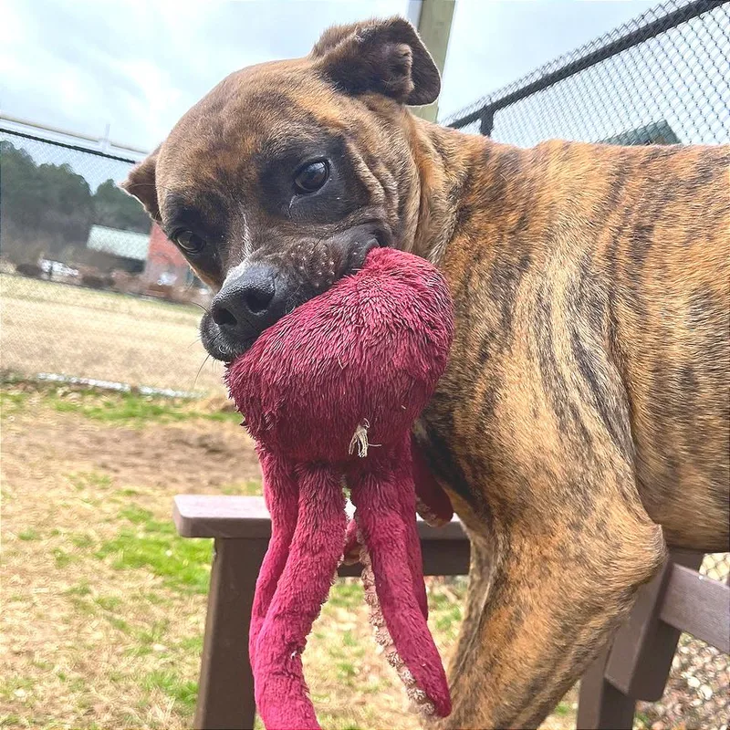 Mayweather thumbnail 2