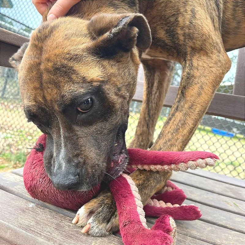 Mayweather thumbnail 3