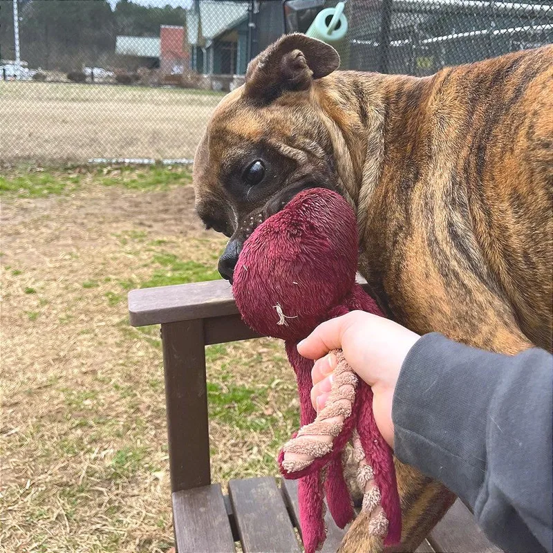 Mayweather thumbnail 4