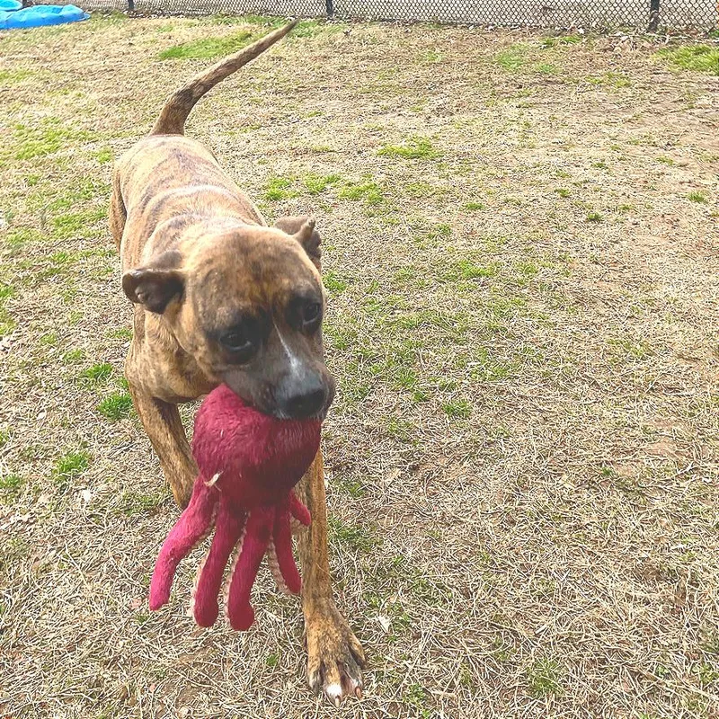 Mayweather thumbnail 5